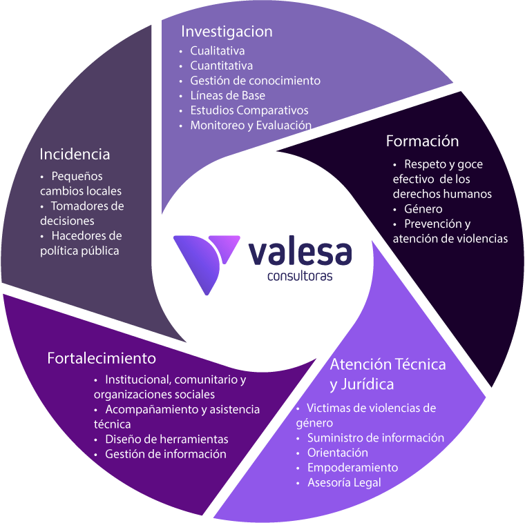 Como lo hacemos en Valesa